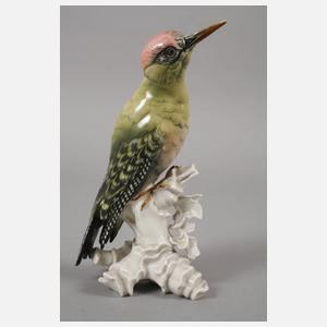 Volkstedt Grünspecht