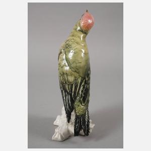 Volkstedt Grünspecht