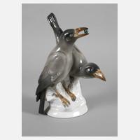 Volkstedt Rabenpaar111