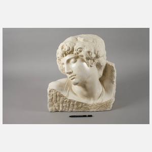 Kopf eines Jünglings