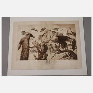 Richard Earlom, "Ein Konzert der Vögel"