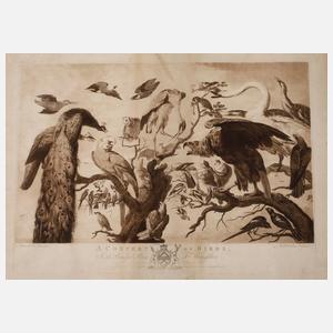 Richard Earlom, "Ein Konzert der Vögel"