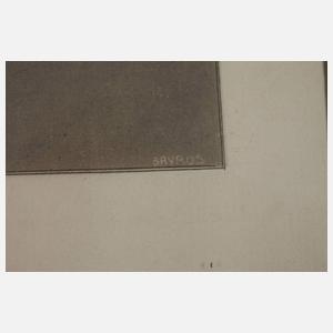 Franz von Bayros, Konvolut Erotika