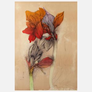 Bruno Bruni, Amaryllis