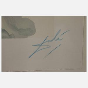 Salvador Dali, aus Dante "Die göttliche Komödie"