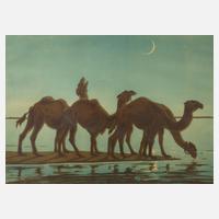 Vadim Dmitrievitch Falileeff, Kamele am See111