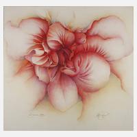 Wolfgang Fratscher, "Rogáceae"111