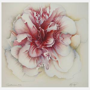 Wolfgang Fratscher, "Papillonáceae"