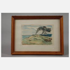 Theodor Schultze-Jasmer, Windflüchter auf dem Darß