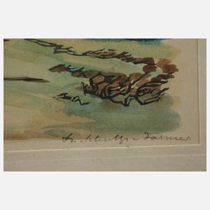 Theodor Schultze-Jasmer, Windflüchter auf dem Darß