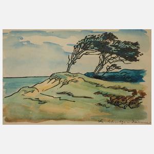 Theodor Schultze-Jasmer, Windflüchter auf dem Darß