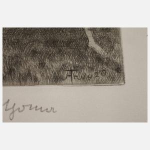 Prof. Hans Thoma, Sammlung Radierungen