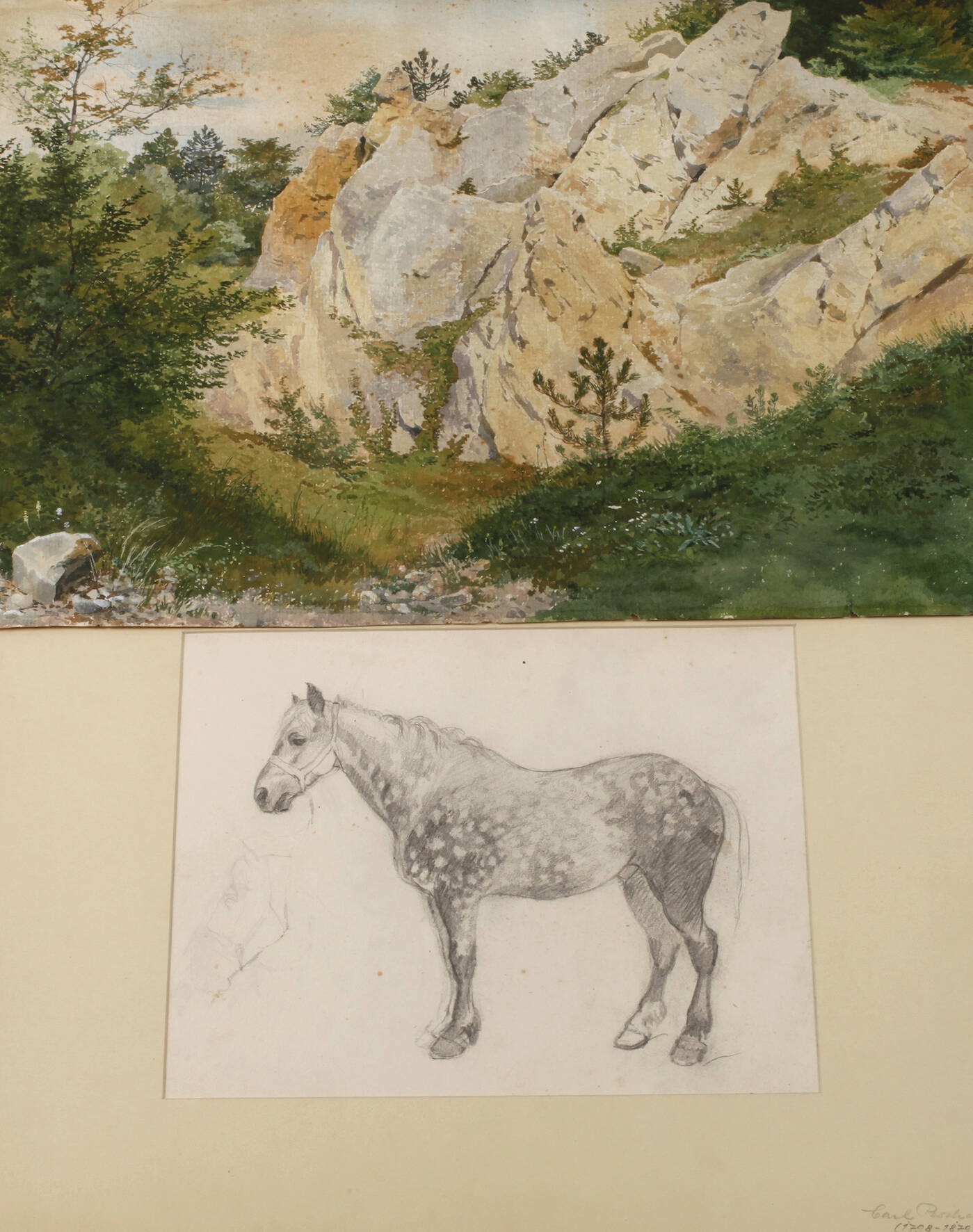 Sommerliche Felspartie