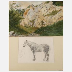 Sommerliche Felspartie