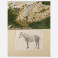 Sommerliche Felspartie111