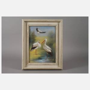 Werner Fechner, Störche