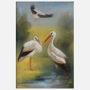 Werner Fechner, Störche