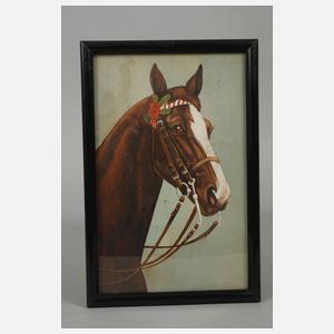 P. Fischer, Konvolut Pferdeportraits