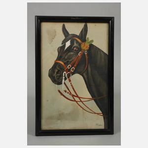 P. Fischer, Konvolut Pferdeportraits