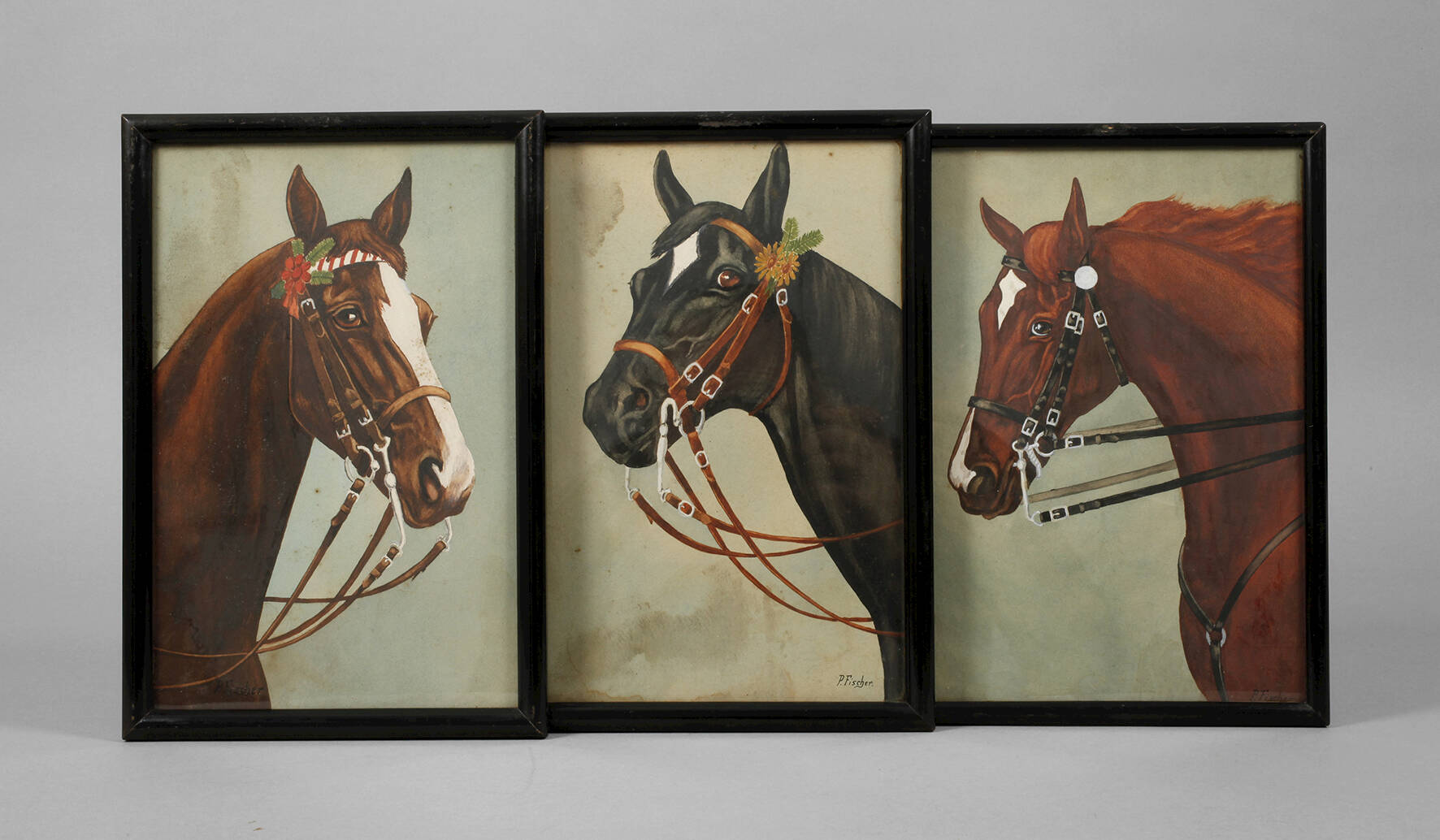 P. Fischer, Konvolut Pferdeportraits