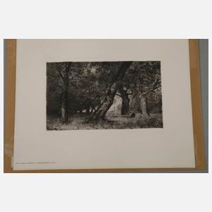 Otto Gampert, 2 Zeichnungen und 3 Radierungen