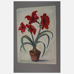 Friedrich Hellmich, Stillleben mit Amaryllis