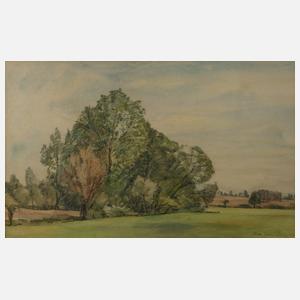 Max Nehrling, Flache Landschaft