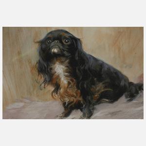 Prof. Max Rabes, King Charles Spaniel