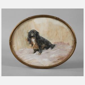 Prof. Max Rabes, King Charles Spaniel