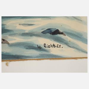 W. Richter, Schneekoppe im Winter