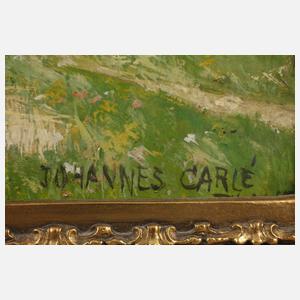 Johannes Carlé, Sommerlandschaft