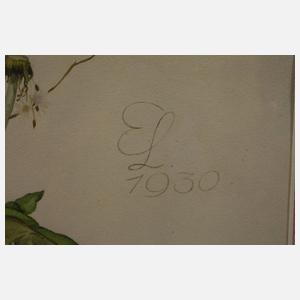 Erich Lindenau, Wiesenblumen