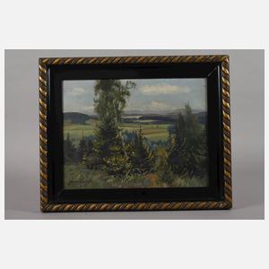 Hans Sachs, Sommerliche Vogtlandlandschaft