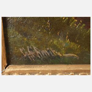 Georg Schmitz, Gebirgslandschaft mit See