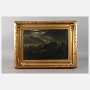 Alois Stoff, Rotwild