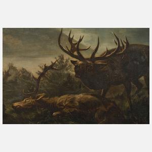 Alois Stoff, Rotwild