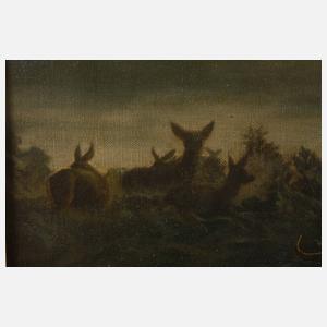 Alois Stoff, Rotwild