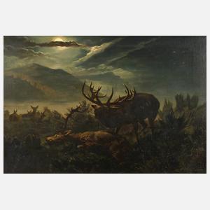 Alois Stoff, Rotwild