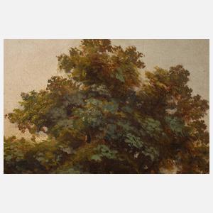 Fr. Truijens, Mühle im Gebirge