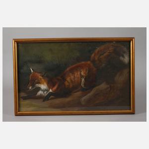 Lauernder Fuchs