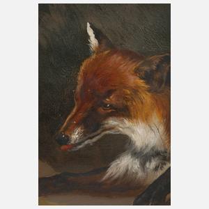 Lauernder Fuchs
