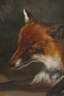 Lauernder Fuchs