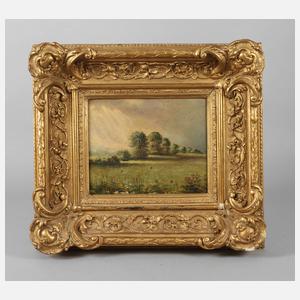 Landschaft mit Sonnenstrahlen