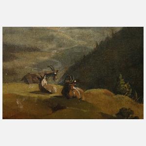 Ziegen im Gebirge