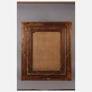 Sturzbach in Gebirgslandschaft