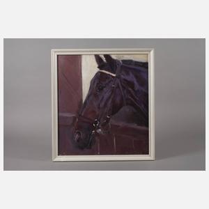 Hellmut Bachrach-Barree, attr., Pferdeportrait