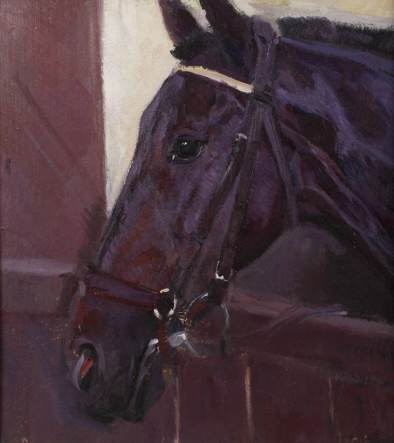 Hellmut Bachrach-Barree, attr., Pferdeportrait