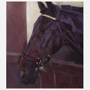 Hellmut Bachrach-Barree, attr., Pferdeportrait