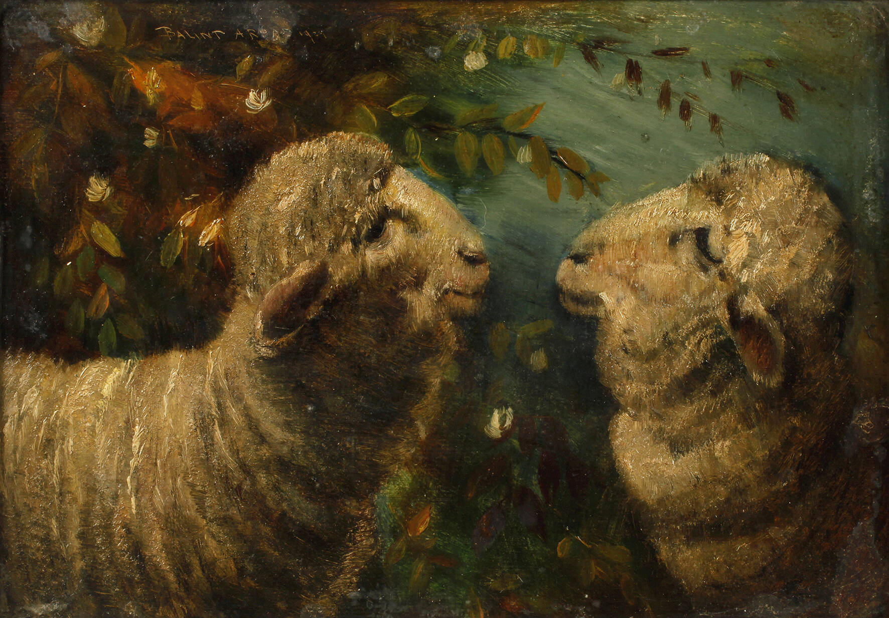 Arpad Balint, Paar Schafe im Gebüsch