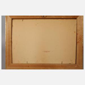 Prof. Franz Roubal, Blick auf Gröbming